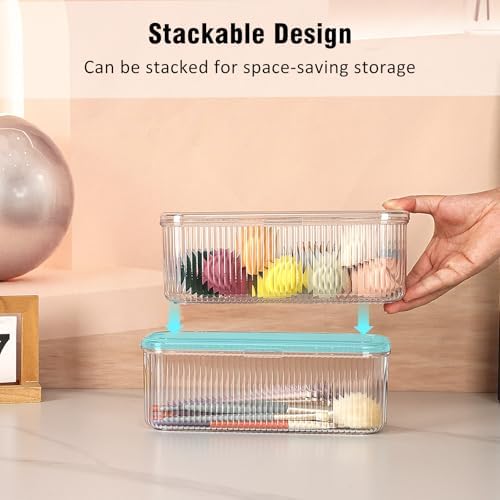 JessLab Makeup Brush Holder Organizer, Clear Makeup Sponges Organizer, Cosmetic Storage Case with Lid Display Case for V