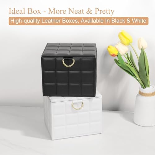 Disposable Face Towel Holder Box XL for Clean Skin Club Organizers