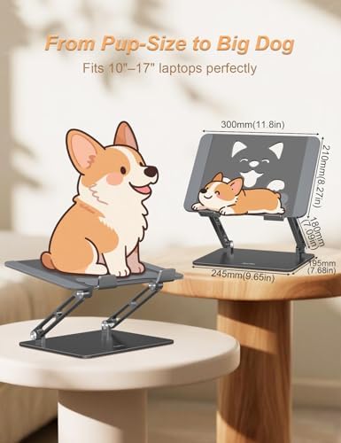 Aoviho Aluminum Laptop Stand for Desk Fit for All 10"-17.3" Laptops, Grey