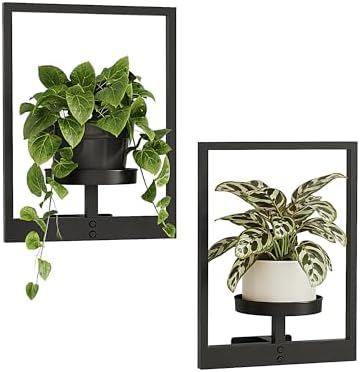 Bamworld Wall Plant Holder Plant Stand Indoor Wall Planters Black