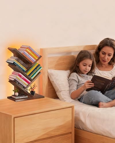 Small Bookshelf with Liting,5-Tier Desktop BookShelf LED for Office