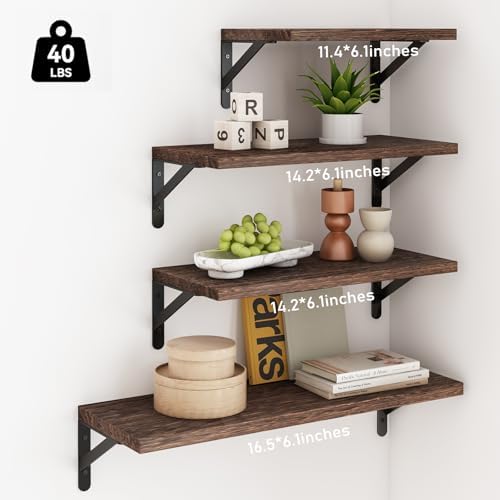 YGEOMER 4 Different Sizes Floating Shelves for Wall Decor, Dark Carbonized