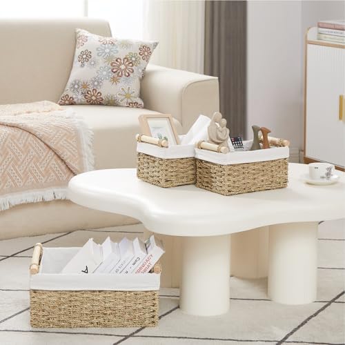 Vagusicc Wicker Storage Basket, 3-Packs Seagrass Storage Baskets for Organizing, Large Cube Storage Organizer Baskets Bi