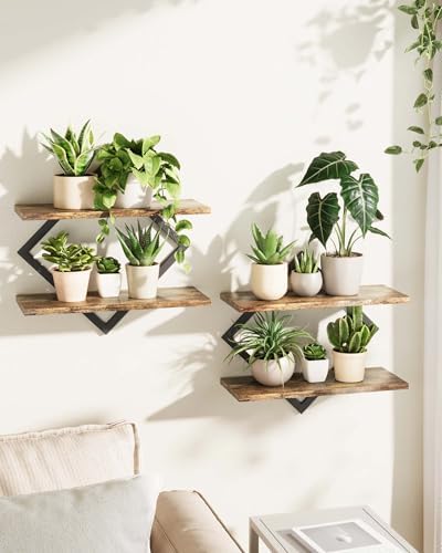 Bamworld Floating Shelves for Wall Planters Indoor Hanging Plant Shelves