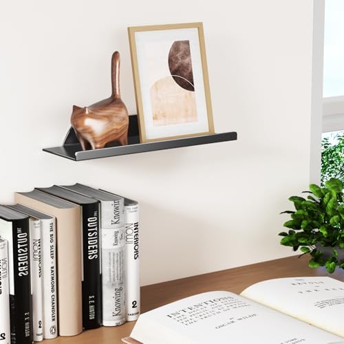 Floating Shelf for Wall, Wall Shelf, Off Center Metal Shelf for Decor, Modern Hanging Shelf for Storage with Lip for Liv