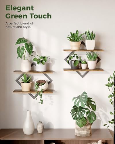 Bamworld Floating Shelves for Wall Planters Indoor Hanging Plant Shelves
