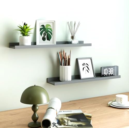 Grey Floating Shelves for Wall Decor, 24 in Shelf with Lip Set of 2