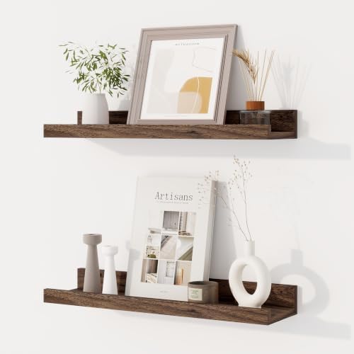 Dreamland Picture Ledge Shelf for Wall, Floating Shelves Set of 2,18 inch Long Floating Shelves with Lip for Living Room
