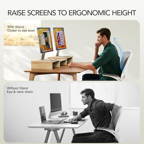 AMERIERGO Dual Monitor Stand Riser- 3 Shelf Screen Stand with Adjustable Length and Angle, 2 Extra Functional Slot Deskt