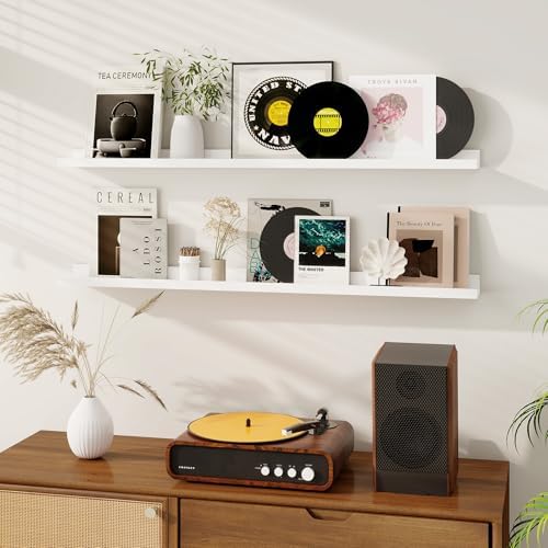 Dreamland Picture Ledge Shelf for Wall, Floating Shelves Set of 2, 48 Inch Long Floating Shelves with Lip for Living Room, Bedroom, Bathroom, Kitchen, White