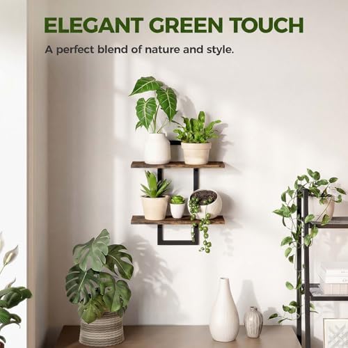 Bamworld Floating Shelves for Wall Planters Indoor Hanging Plant Shelves