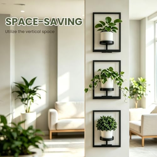 Wall Plant Holder Floating Plant Shelves for Wall Set of 2, Wall Planters for Indoor Plants - Premium Metal Hanging Plan