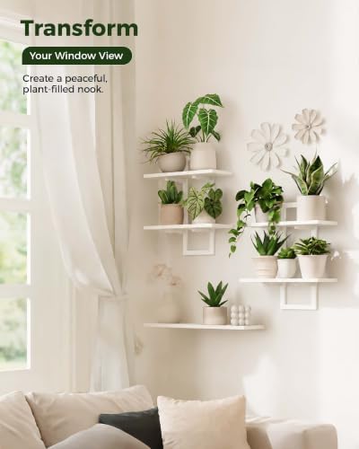 Bamworld Floating Shelves for Wall Planters Indoor Hanging Plant Shelves