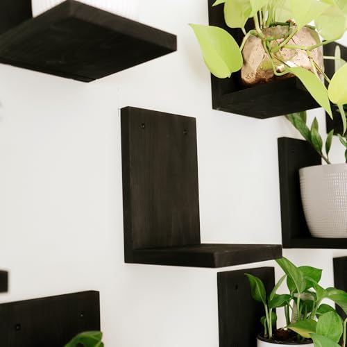 Daniel's Plants 3 Pack Mid-Century Modern L Shaped Wooden Plant Shelf Kit | Wall Mounted Floating Shelves | Solid Wood W