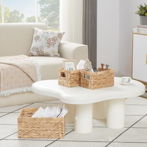 Vagusicc Wicker Basket, Set of 3 Hand-woven Storage Baskets for Organizing, Water Hyacinth Wicker Storage Basket Bins wi
