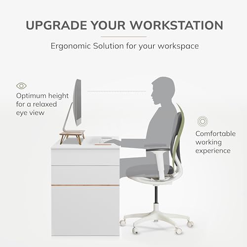 Anji Mountain Monitor Stand for Desk - Desktop Organizer & Laptop Riser, Ergonomic Monitor Riser, Space-Saving, Durable,