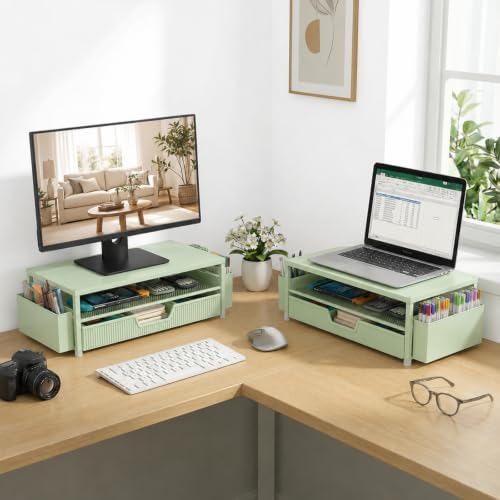 ECOLOVI Desk Organizer and Accessories, 2-Tier Computer Monitor Stand Rise with Storage Drawer & 2 Pen Holders, Laptop &