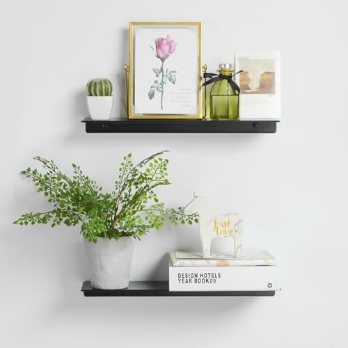 Modern Floating Shelf Wall Mounted Heavy Duty for Living Room Bedroom Bathroom, 16 Inch, Black, 2 Pack