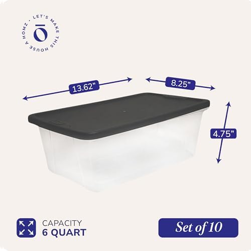 HOMZ Snaplock, Small Clear Plastic Storage Organizer Bins w/Lids, 10 Pack