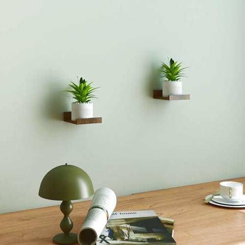 Small Brown Floating Shelves for Wall, Shelf with Lip Set of 2, 4 in
