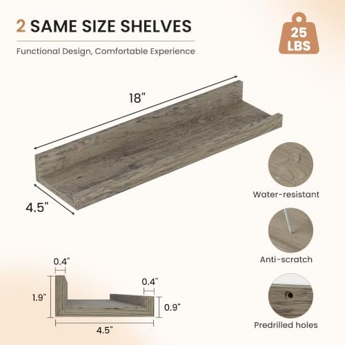 Dreamland Picture Ledge Shelf for Wall, Floating Shelves Set of 2,18 inch Long Floating Shelves with Lip for Living Room