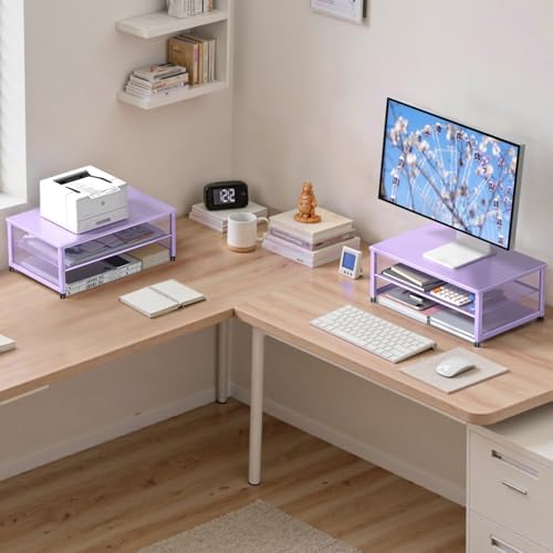 ECOLOVI 2-Tier Computer Monitor Stand Riser, Printer & Laptop Stand, Office Desk Accessories, Workspace Desk Organizer f