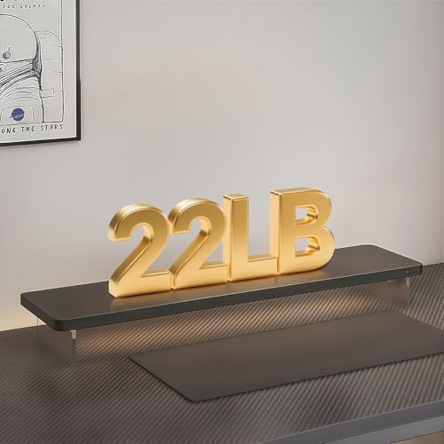 Computer Monitor Stands, Wood & Acrylic Computer Monitor Stand, Desk Monitor Stand Underneath Storage For Office, Home, 