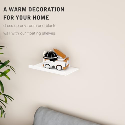 Floating Shelf for Wall, Off Center Metal Shelf for Decor, Modern Wall Shelf for Storage with Lip, Hanging Shelf for Liv