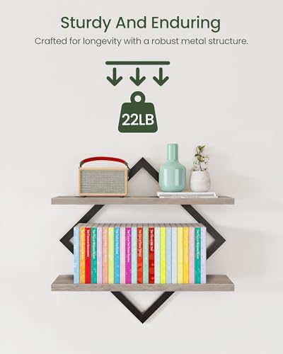 CHOEZON Floating Shelves for Wall, Set of 2 Wall Mounted Shelves, 2-Tier Hanging Shelves, for Living Room, Bedroom, Kitc