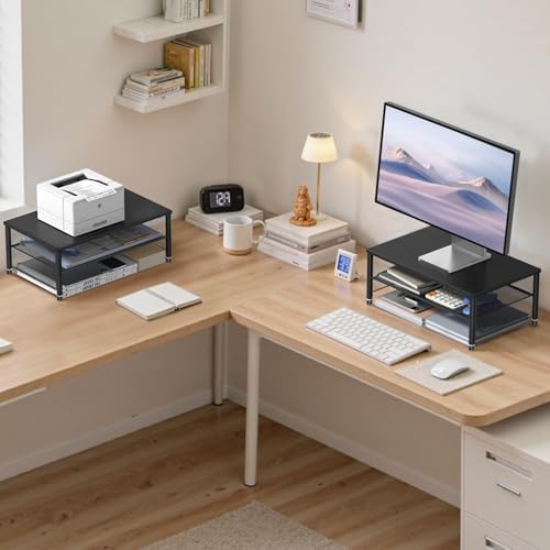 ECOLOVI 2-Tier Computer Monitor Stand Riser, Printer & Laptop Stand, Office Desk Accessories, Workspace Desk Organizer f