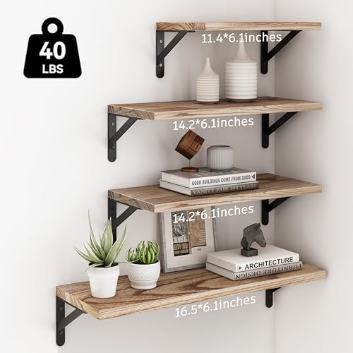 YGEOMER 4 Different Sizes Floating Shelves for Wall Decor, Light Carbonized