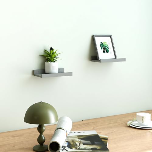 Small Grey Floating Shelves for Wall, Shelf with Lip Set of 2, 8 in