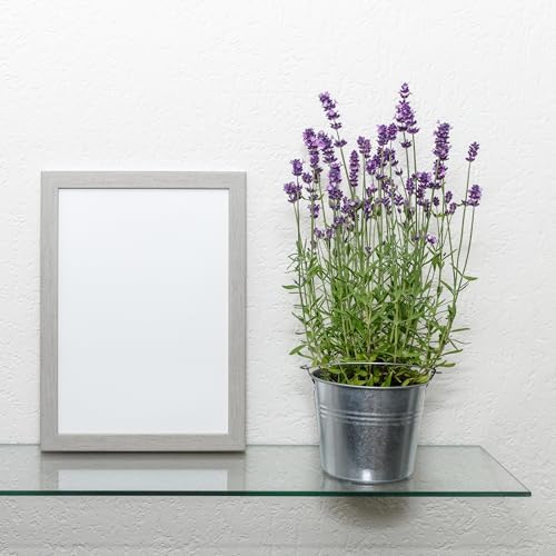 Dulles Glass 10" x 24" Rectangle Floating Glass Shelf - Shelf Only - Tempered - 3/8" Thick - Flat Polished Glass