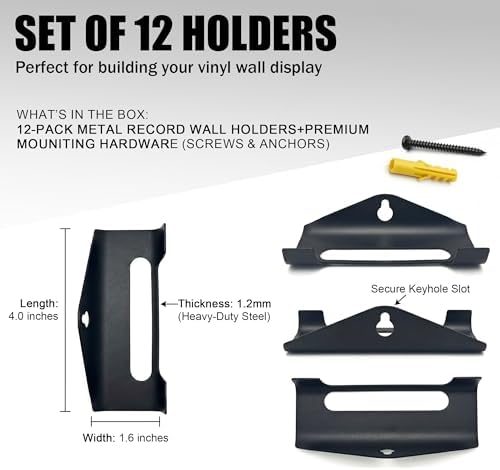 Vinyl Record Wall Mount Shelf, Custom Multi Angle Display, 12 Pcs