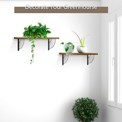 Z Metnal Decorative Shelf Brackets, Brass Metal Shelves Bracket, Wall Decor, Modern Shelving Bracket for DIY Floating Sh