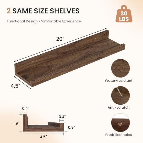 Dreamland Picture Ledge Shelf for Wall, Floating Shelves Set of 2,20 inch Long Floating Shelves with Lip for Living Room
