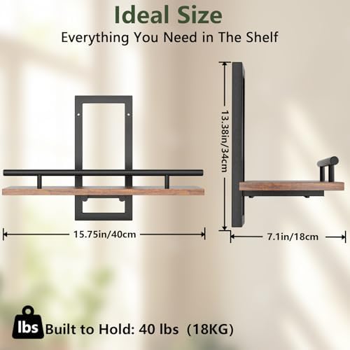 Sbosbo Floating Shelves for Wall Plant Shelf Indoor Wall Mounted Shelves