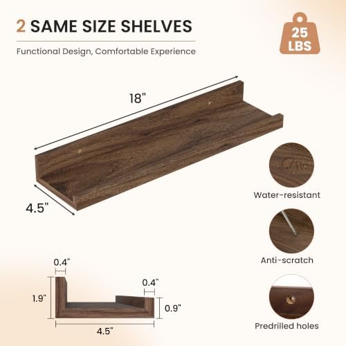 Dreamland Picture Ledge Shelf for Wall, Floating Shelves Set of 2,18 inch Long Floating Shelves with Lip for Living Room