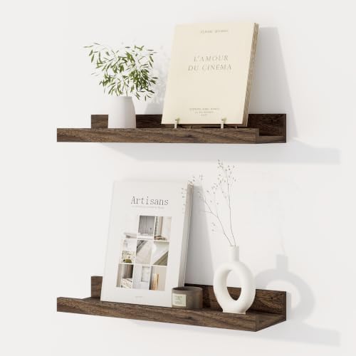 Dreamland Picture Ledge Shelf for Wall, Floating Shelves Set of 2,16 inch Long Floating Shelves with Lip for Living Room,Bedroom,Bathroom,Kitchen,Walnut