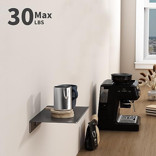 Danpoo 8 inch Gray Small Floating Shelf for Wall Organizer & Storage, Mini Display Shelf, Metal Wall Shelf for Bathroom,