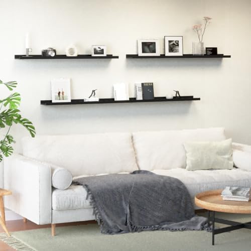 Boswillon Floating Shelves Set of 2, Long Wall Shelf with Lip, 48in, Black
