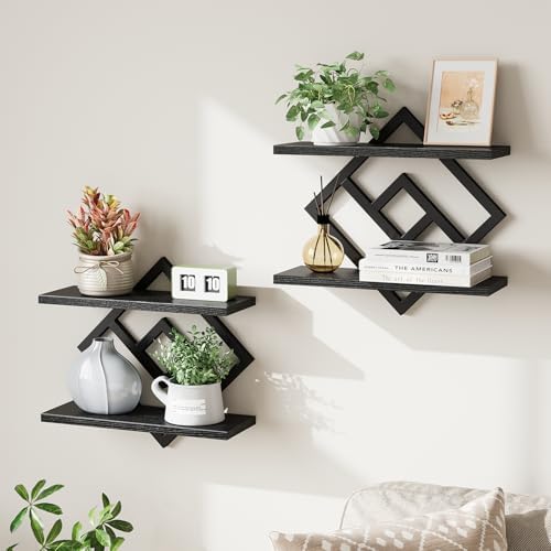 ELYKEN Floating Shelves for Wall, Set of 2 Hanging Shelves, Black