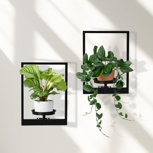 Wall Plant Holder Floating Plant Shelves for Wall Set of 2, Wall Planters for Indoor Plants - Premium Metal Hanging Plan
