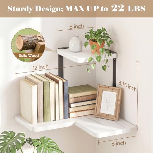 SRIWATANA 2-Tier Corner Shelf, Rustic Wood Storage Display Shelf, White