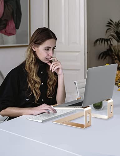 ALASHI Ergonomic Laptop Stand, Aluminum Desk Riser, 10-15.6", Gold