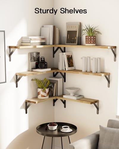 Amada Solid Paulownia Wood Wall Shelves, Large Size, 6 Pcs, Natural Wood