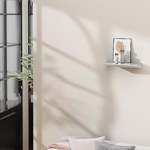 Danpoo 8 inch Small Floating Shelf for Wall Organizer & Storage, Mini Display Shelf, Metal Wall Shelf for Bathroom, Livi
