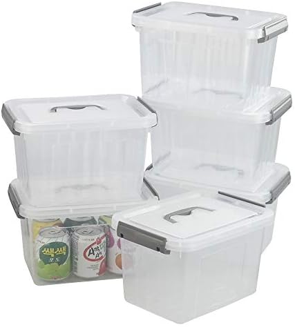 6 Liter Plastic Bins with Lids, Clear Storage Boxes Set of 6