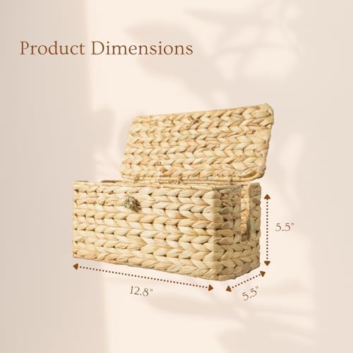 Wicker Cable Management Box with Lid, A Handwoven Water Hyacinth Cords Hider Box for TV, Computer, Router, USB Hub to Hi