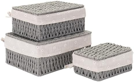 GIB Small Wicker Storage Baskets with Lid/Liner Woven Cute Decorative Boxes